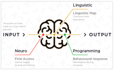 If you’ve never heard of NLP, it’s time you learn about it and start to incorporate it into your sales pitch. NLP stands for Neuro-Linguistic Programming